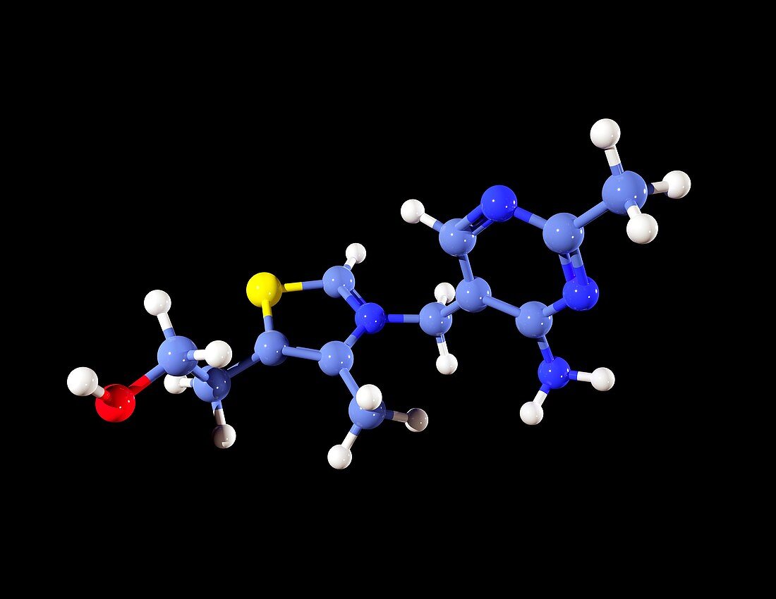 Vitamin B1 molecule