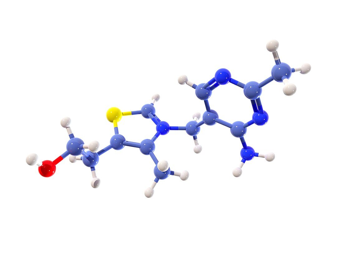 Vitamin B1 molecule