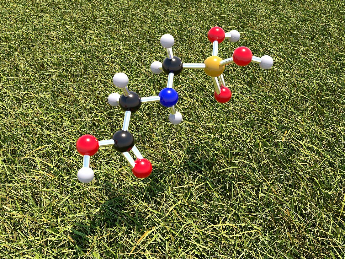 Glyphosate weed killer molecule