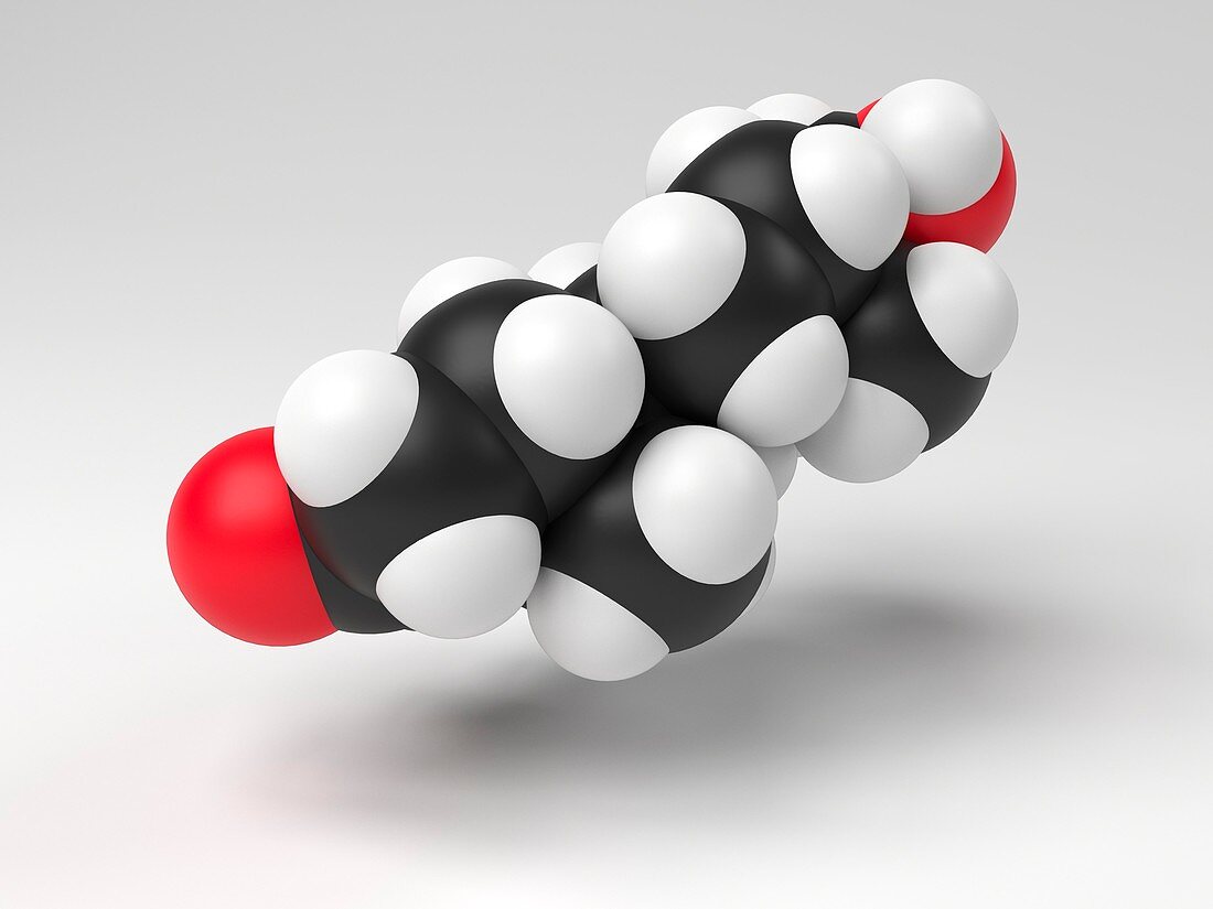Testosterone hormone molecule