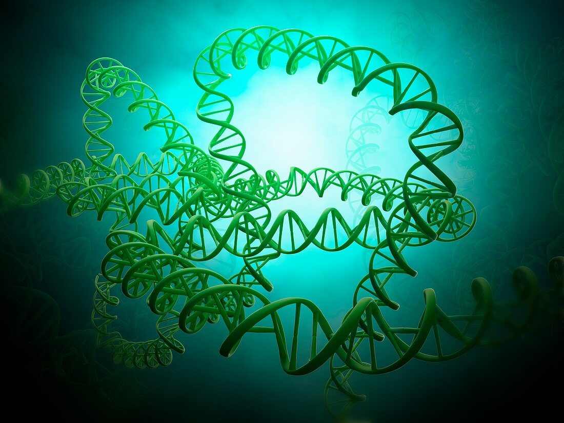 DNA strand model,artwork