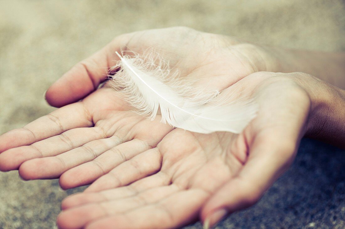 Hands holding feather