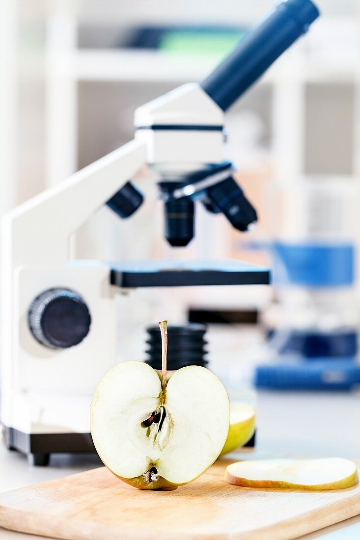 Microscope and apple