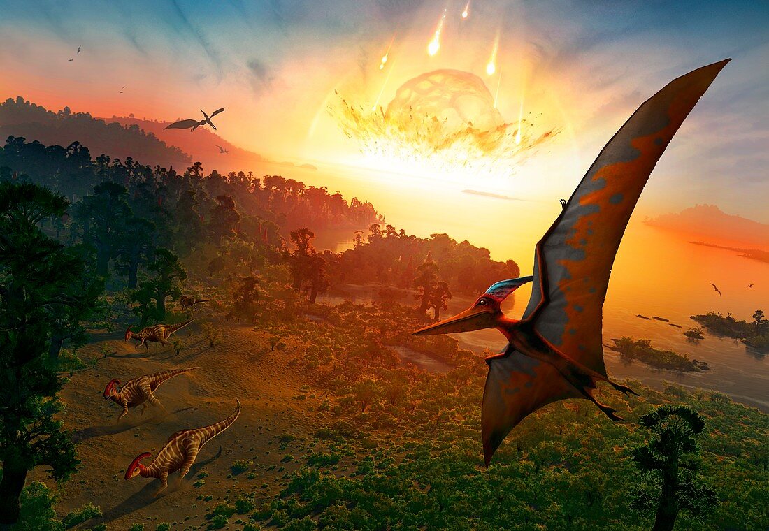 Artwork depicting extinction of dinosaurs