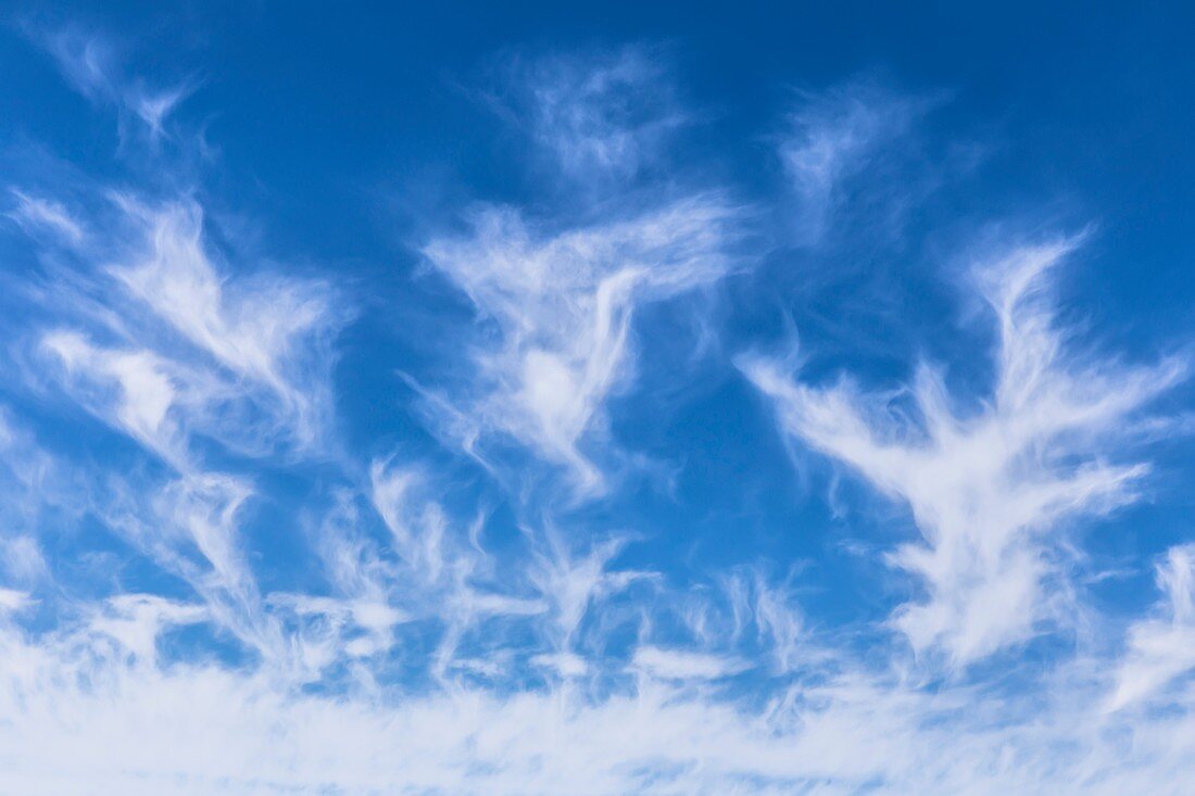 Cirrus cloud formation