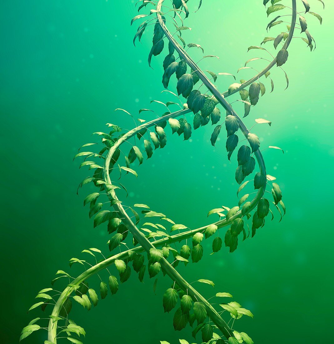 DNA made from leaves,artwork