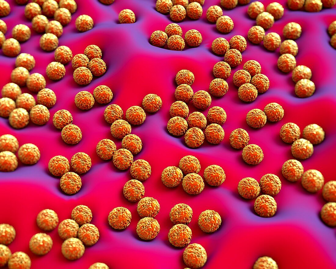 Superbug bacteria,artwork