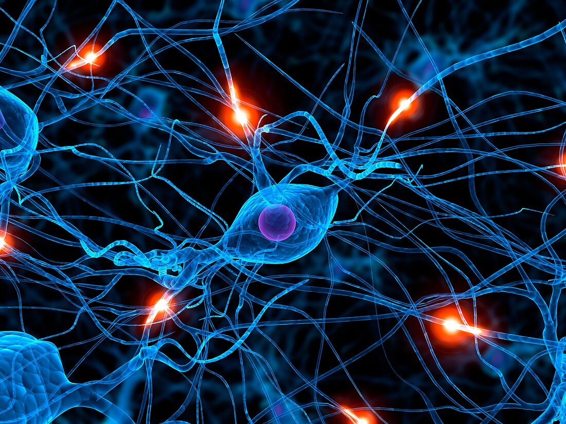 Nerve cell network,artwork