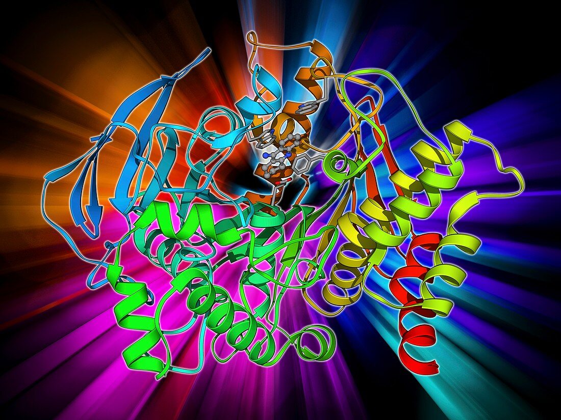 Acetylcholinesterase molecule