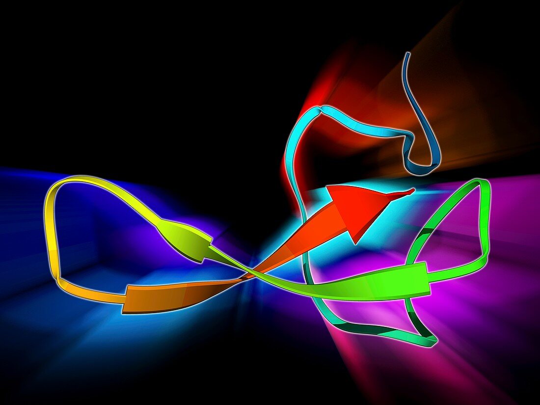 Funnel-web spider toxin molecule