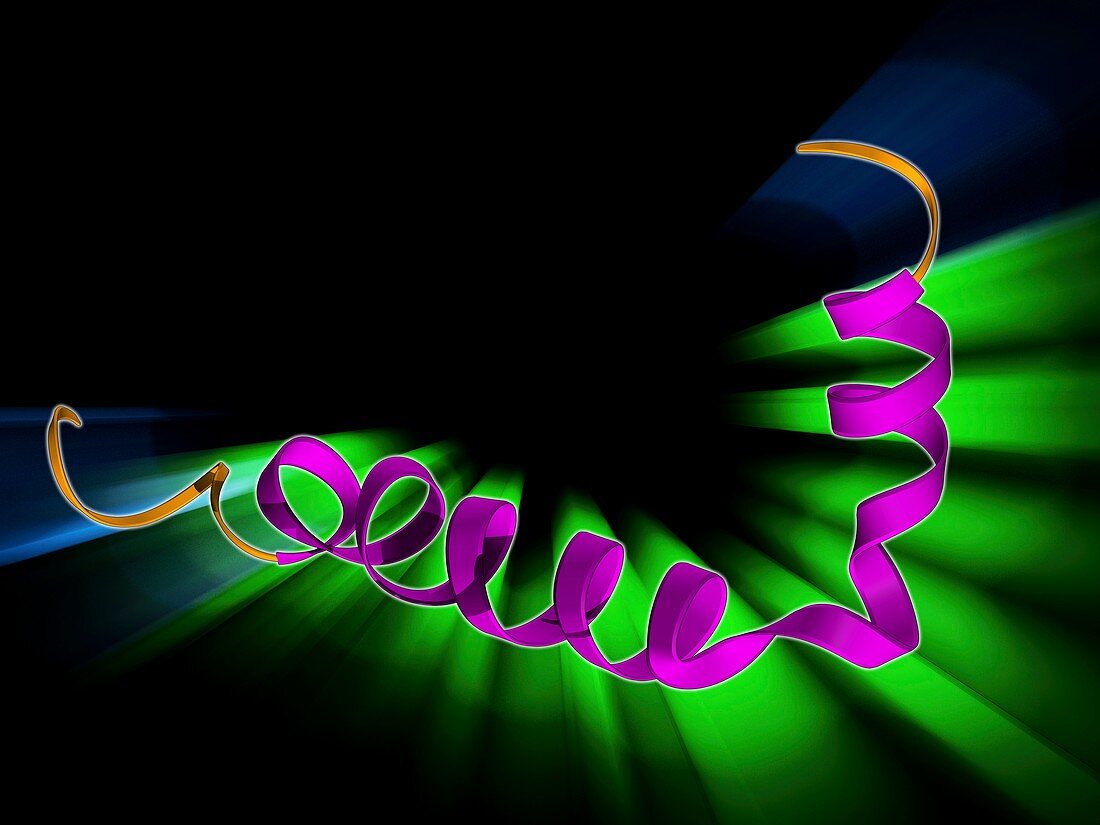 Amyloid beta protein molecule