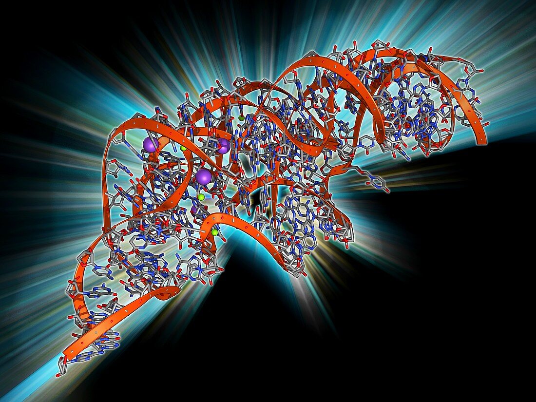 Metal-sensing RNA molecule