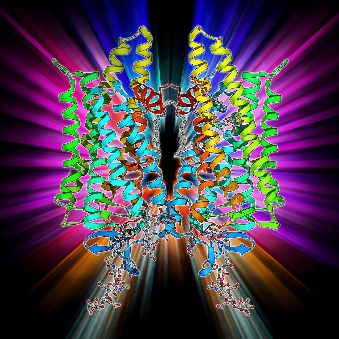 DNA and MECP2 complex,molecular model