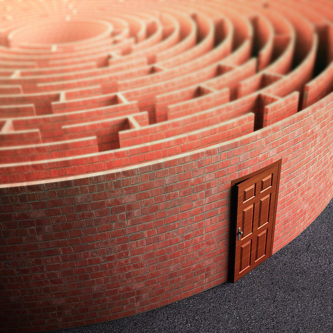 Labyrinth with a door,artwork