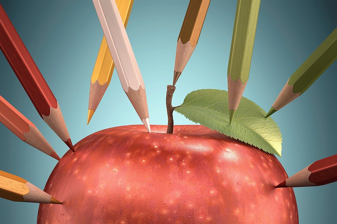Red apple with pencils,artwork