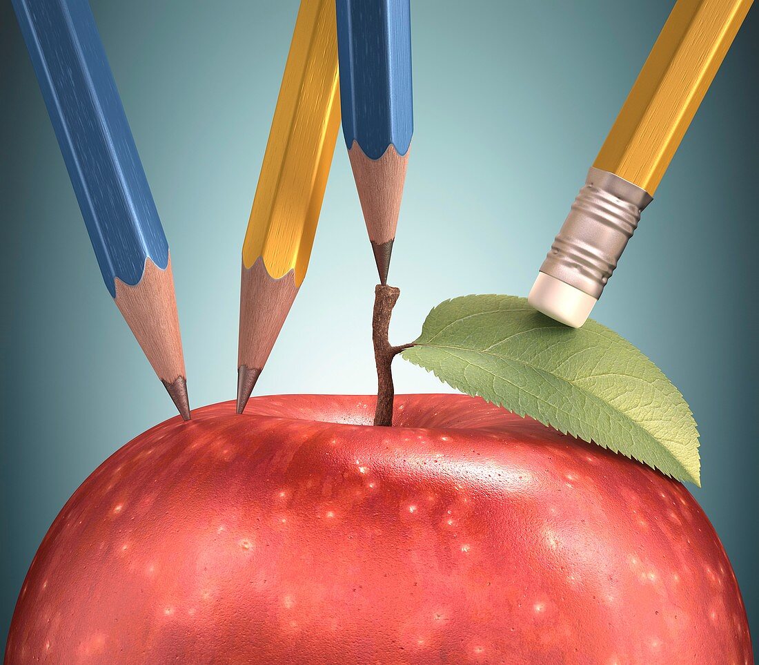 Red apple with pencils,artwork