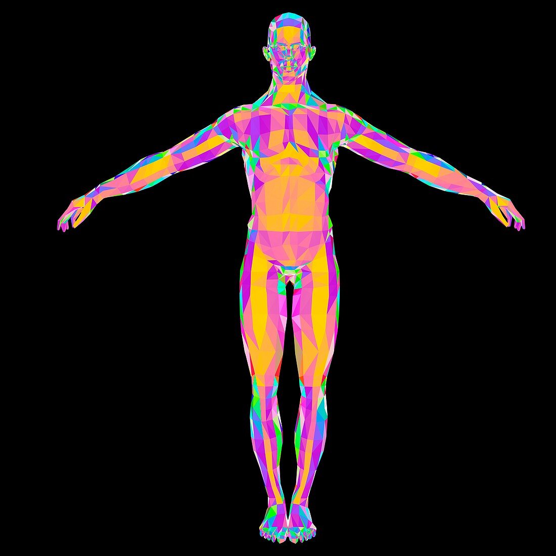 Abstract polygonal model of a man