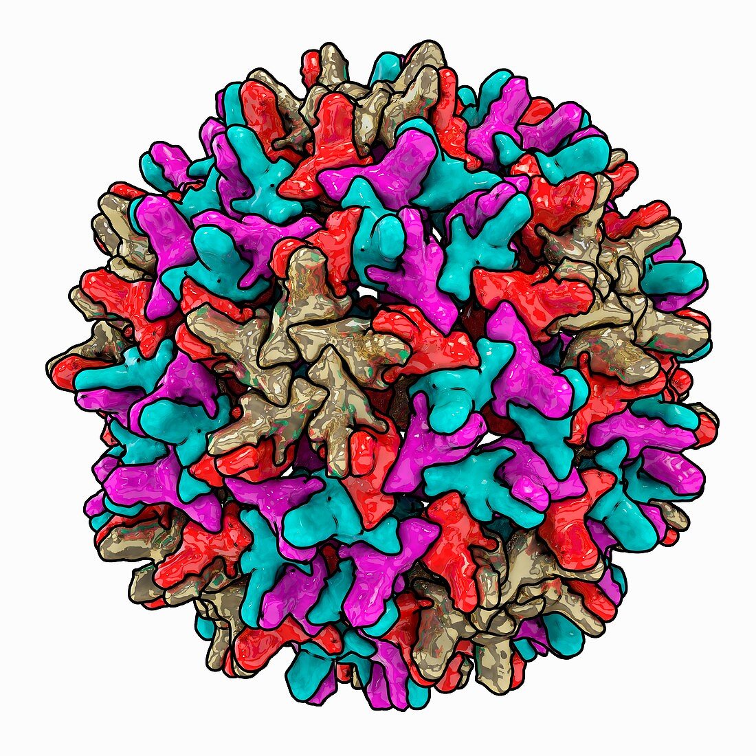 Hepatitis B capsid,artwork