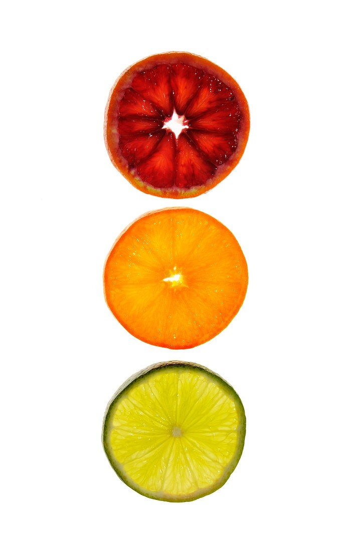 Slices of citrus fruit