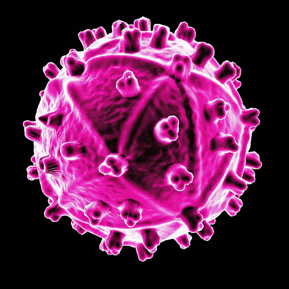 Human immunodeficiency virus,artwork