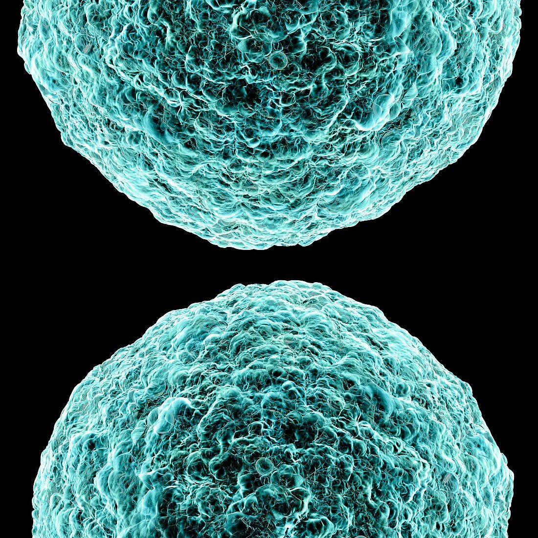 Human t-cell leukemia virus,artwork