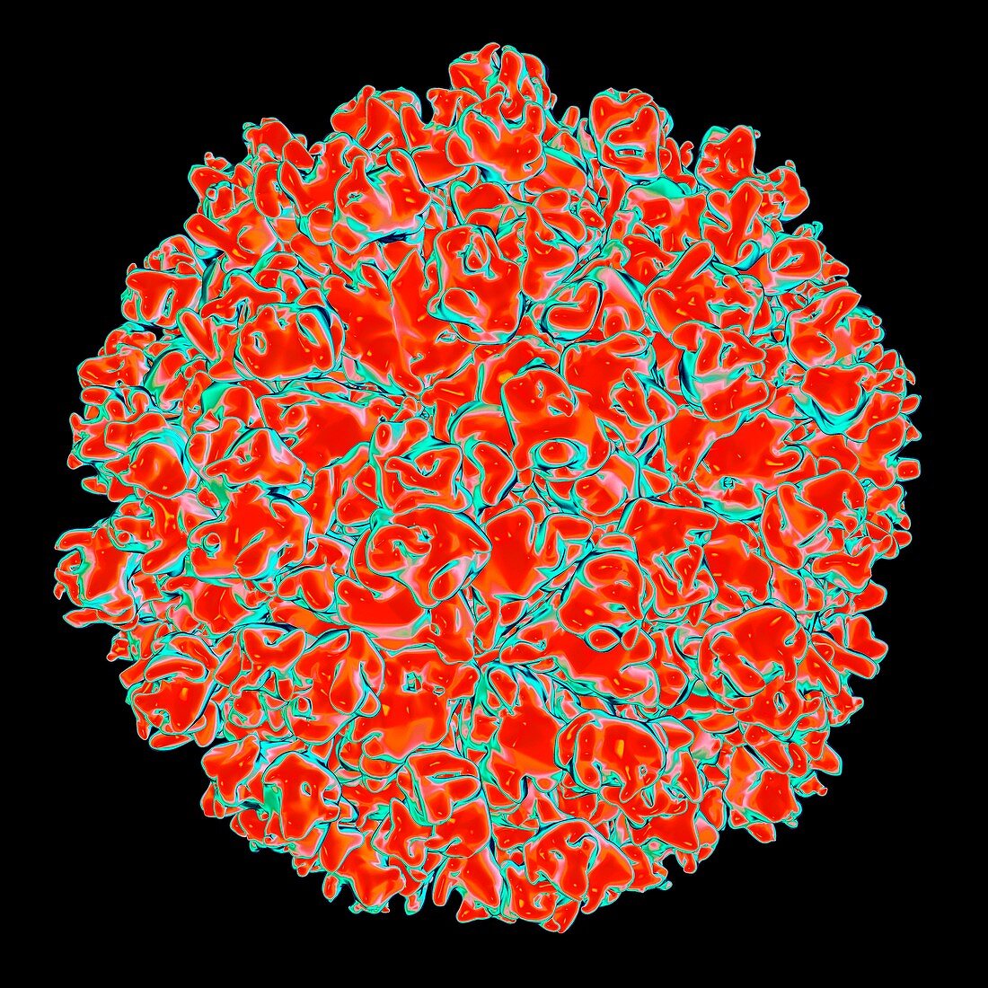 Hepatitis E virus,artwork