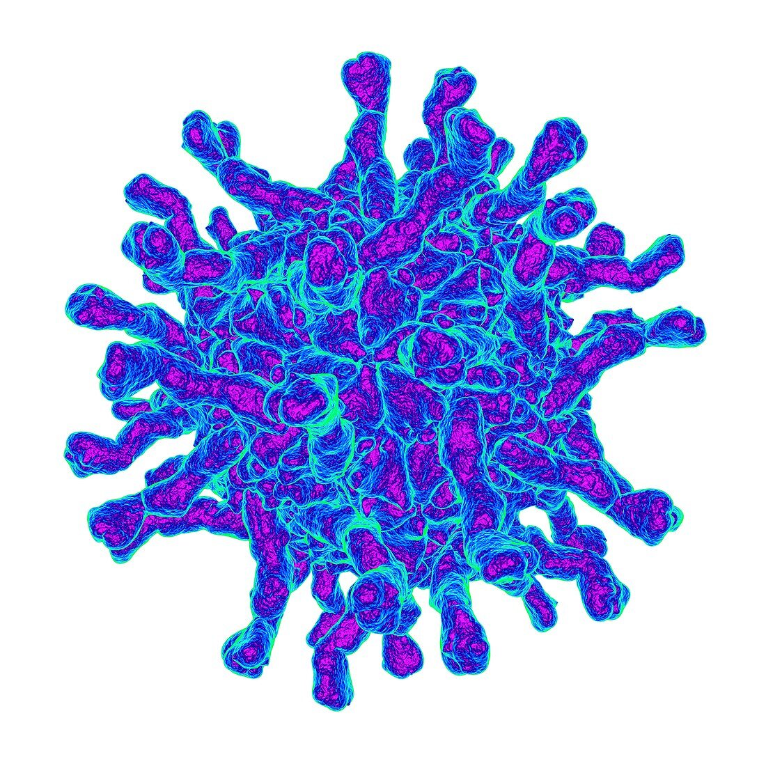 Poliovirus receptor complex,artwork