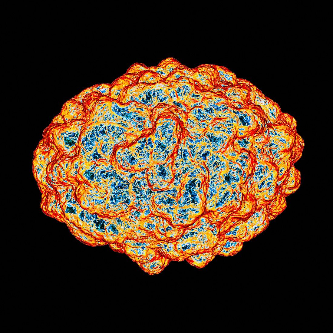 Smallpox virus,artwork