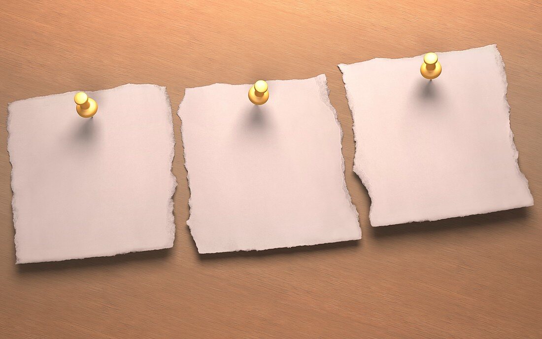 Three blank pieces of paper,artwork