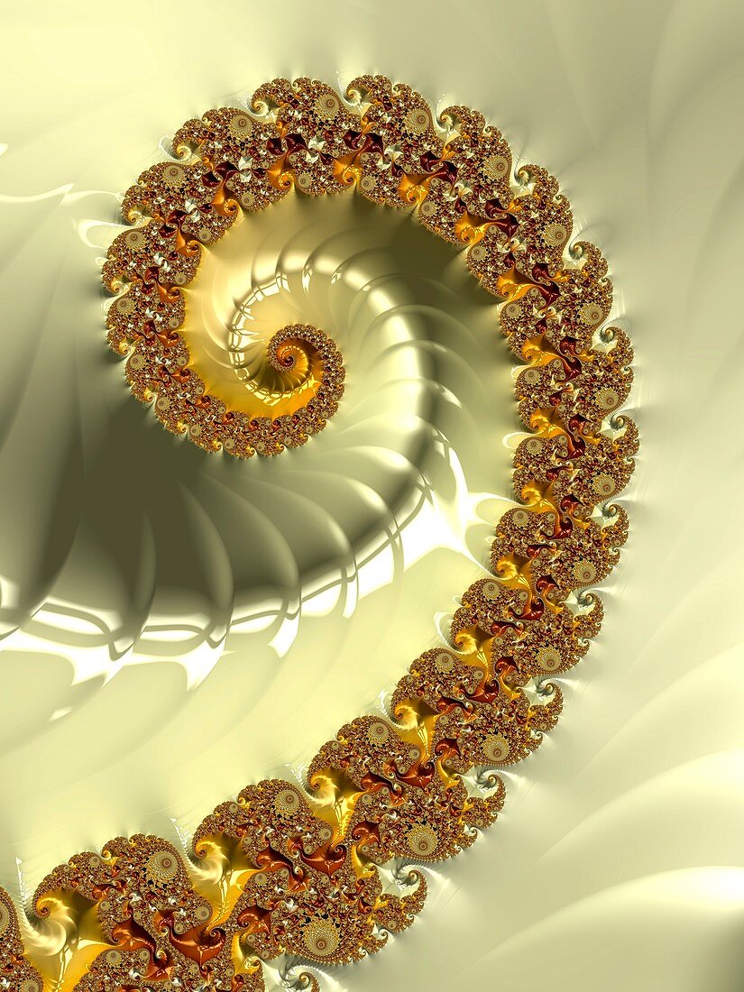 Mandelbrot fractal