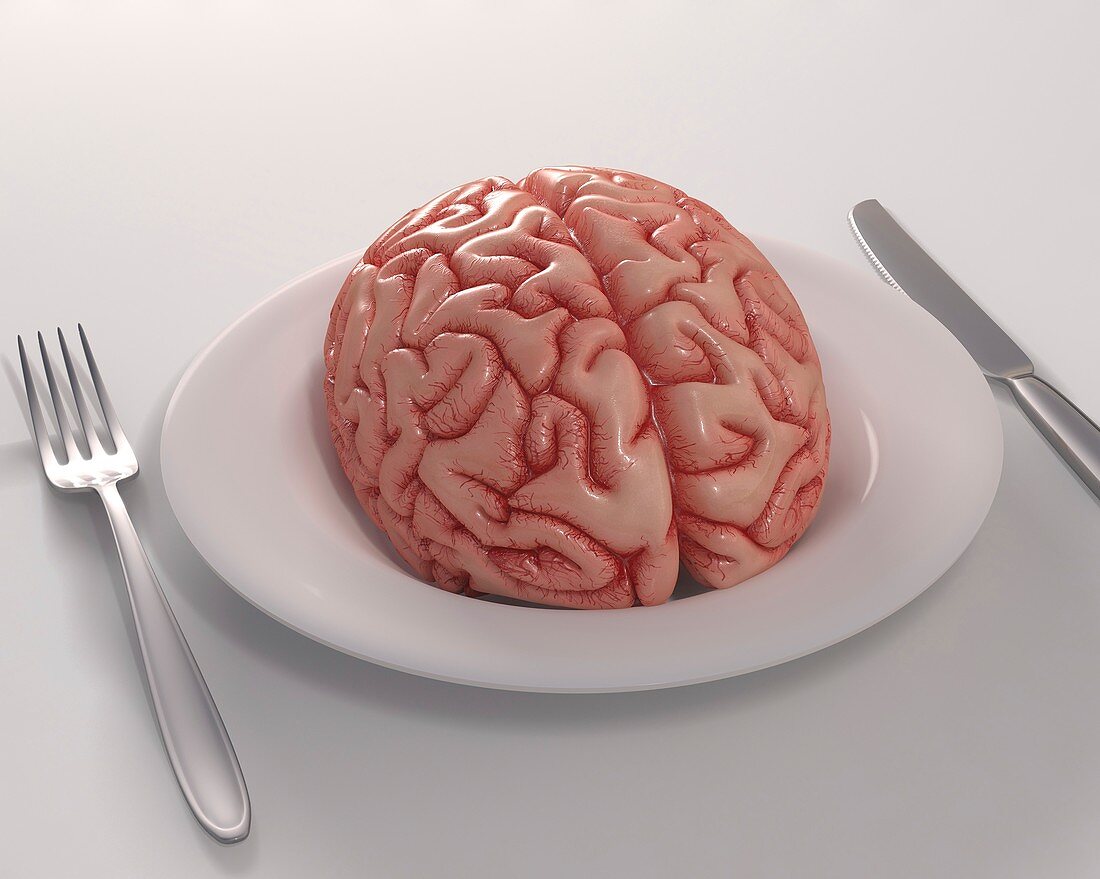 Human brain on dinner plate,artwork
