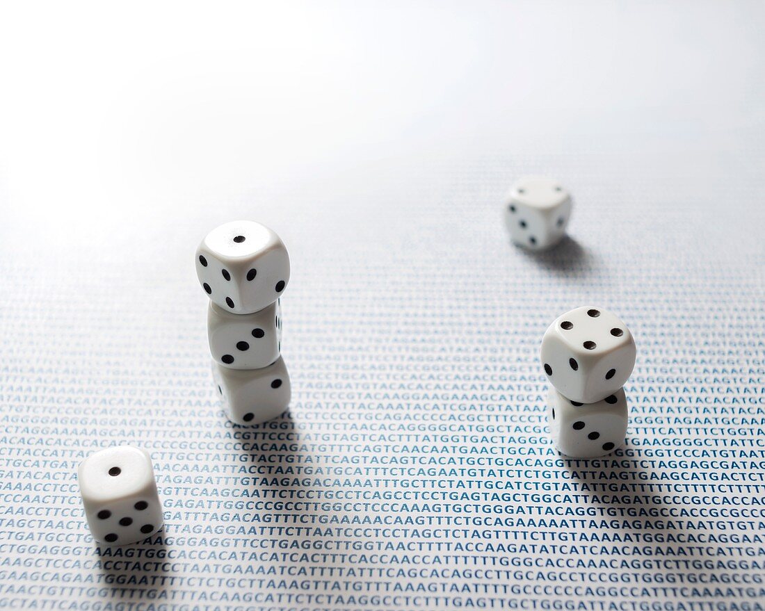 Dice and DNA