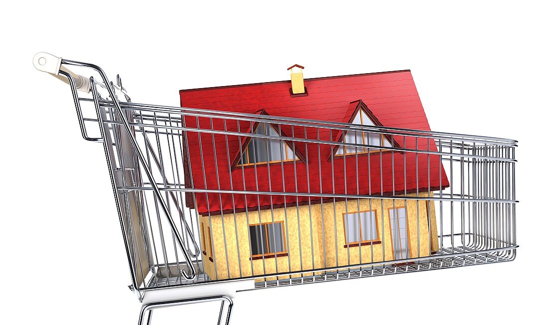 House inside a shopping trolley