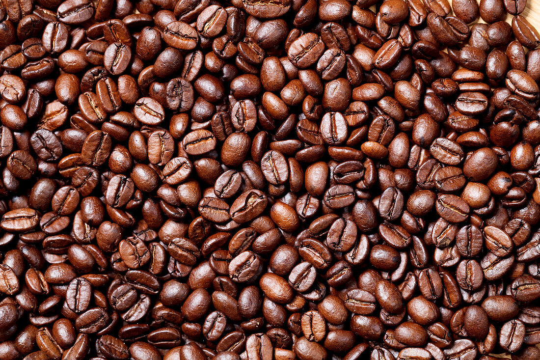 Roasted coffee beans