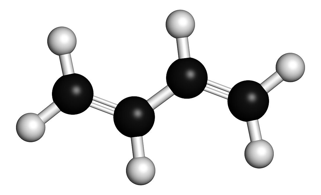 Butadiene synthetic rubber molecule