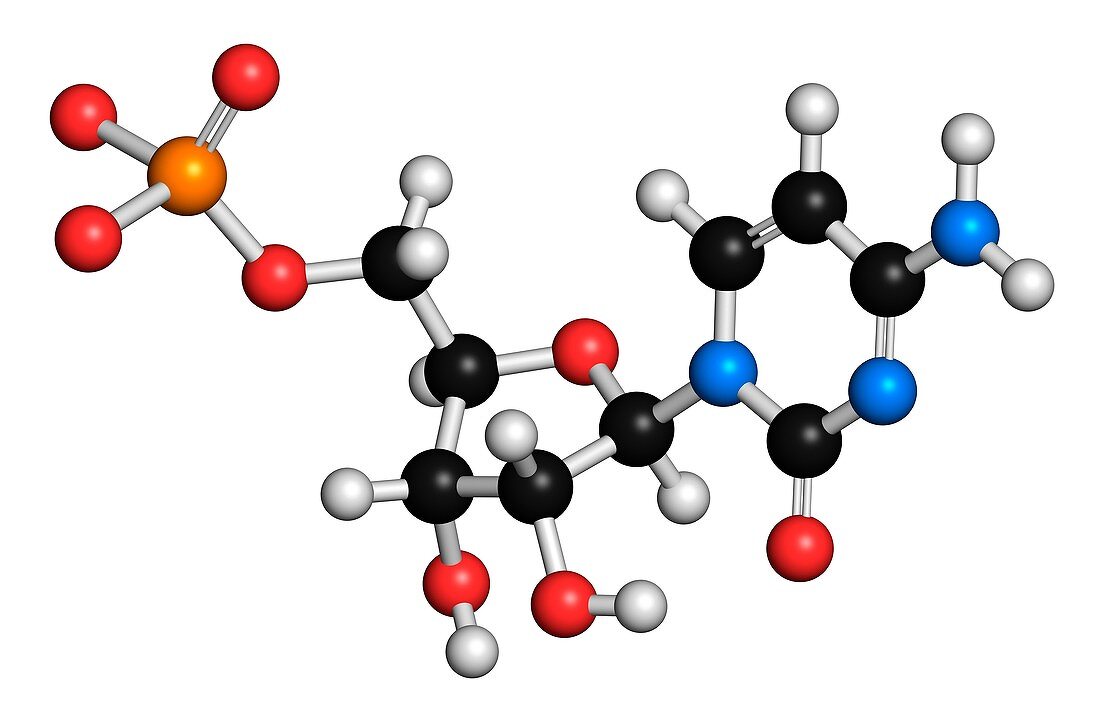 Cytidine monophosphate molecule