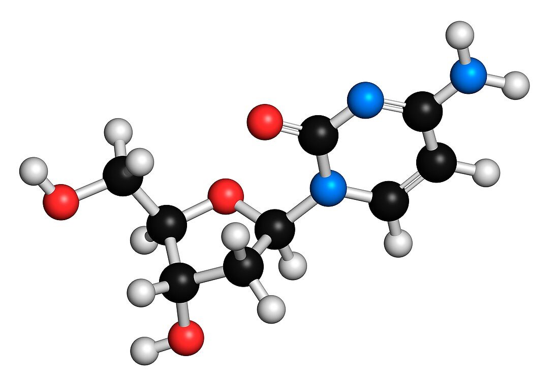 Deoxycytidine nucleoside molecule