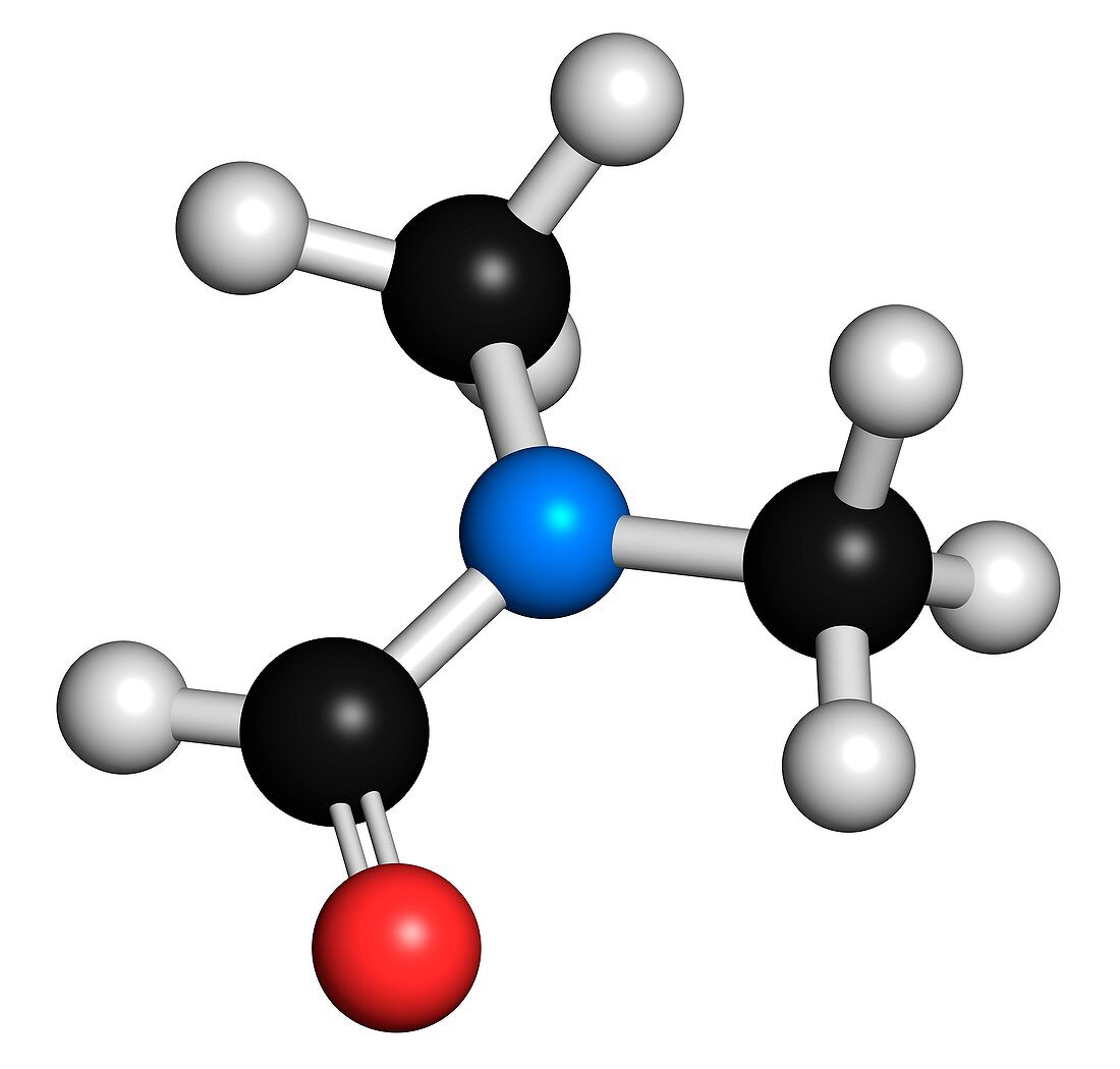 Dimethylformamide solvent molecule