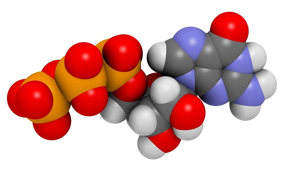 Guanosine triphosphate molecule