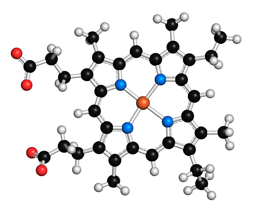 Heme B molecule