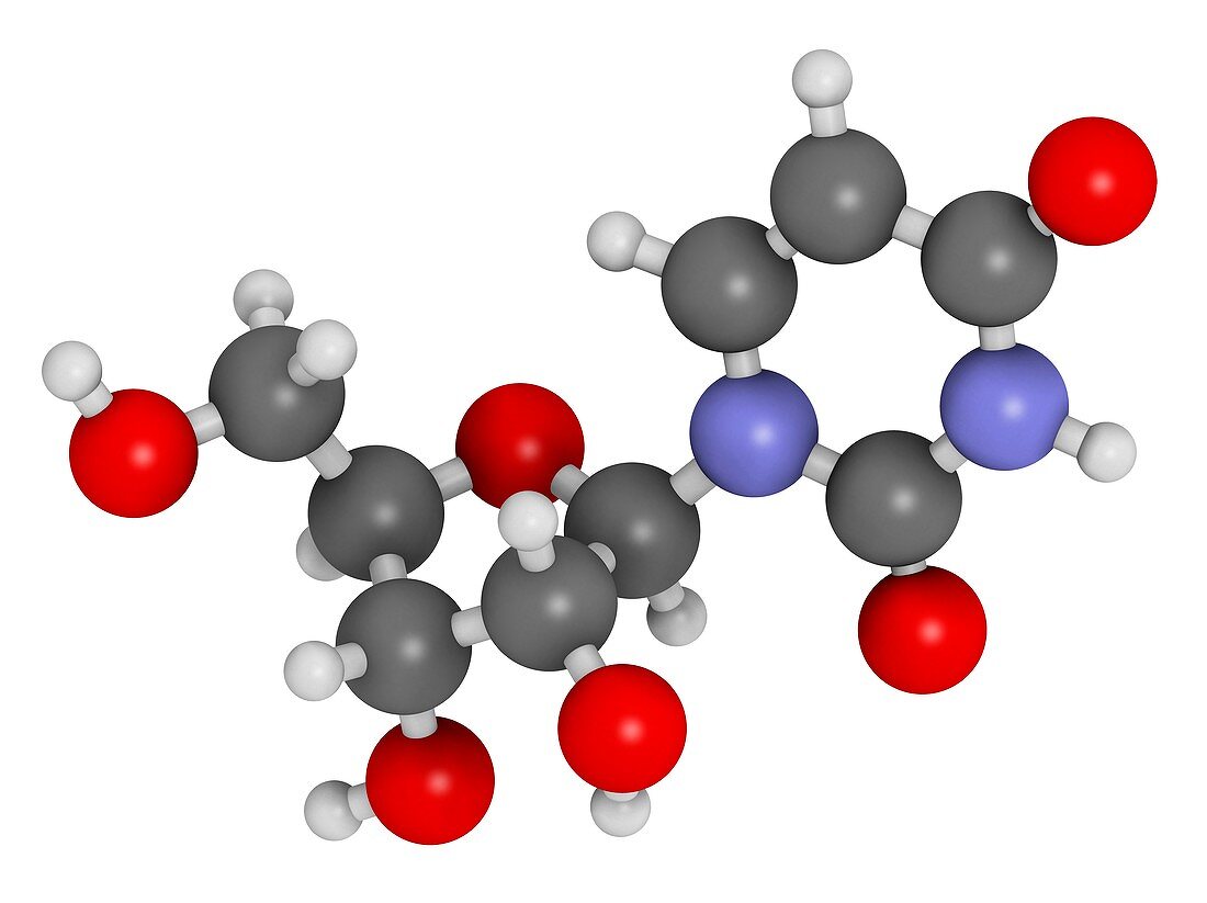 Uridine nucleoside molecule