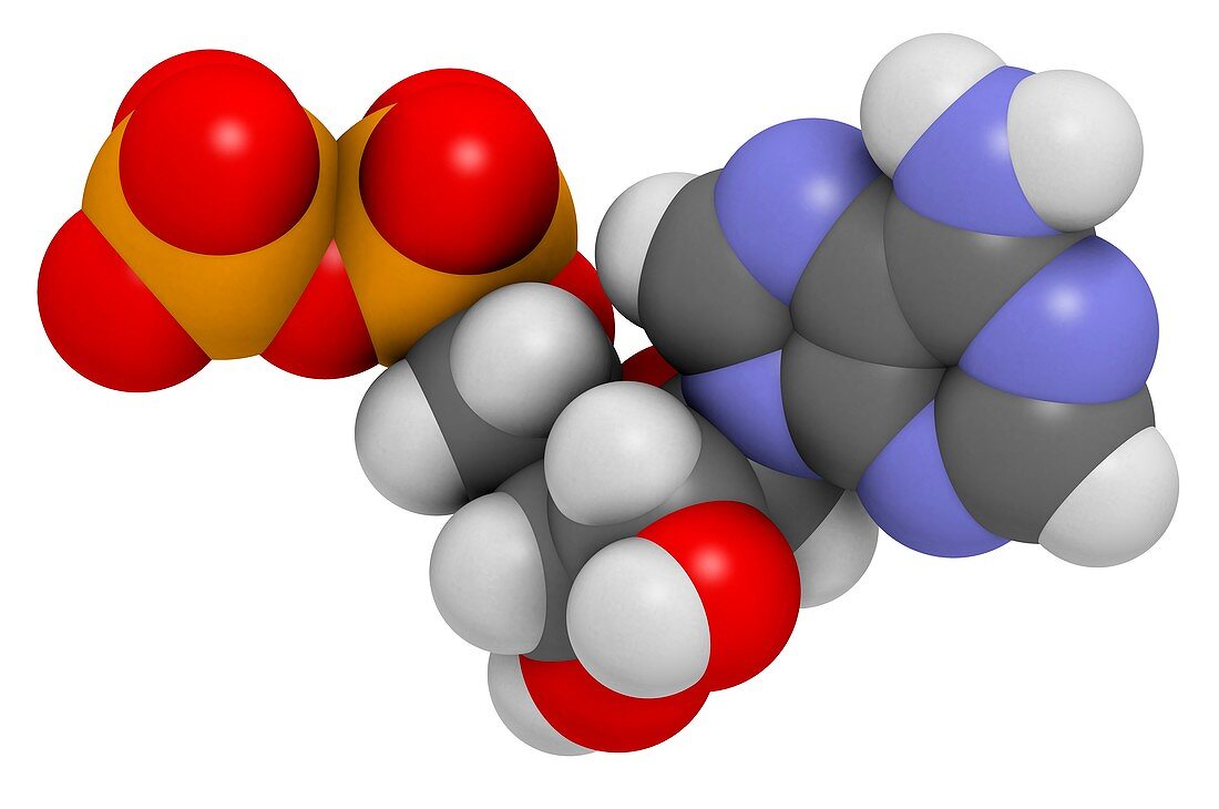 Adenosine diphosphate molecule