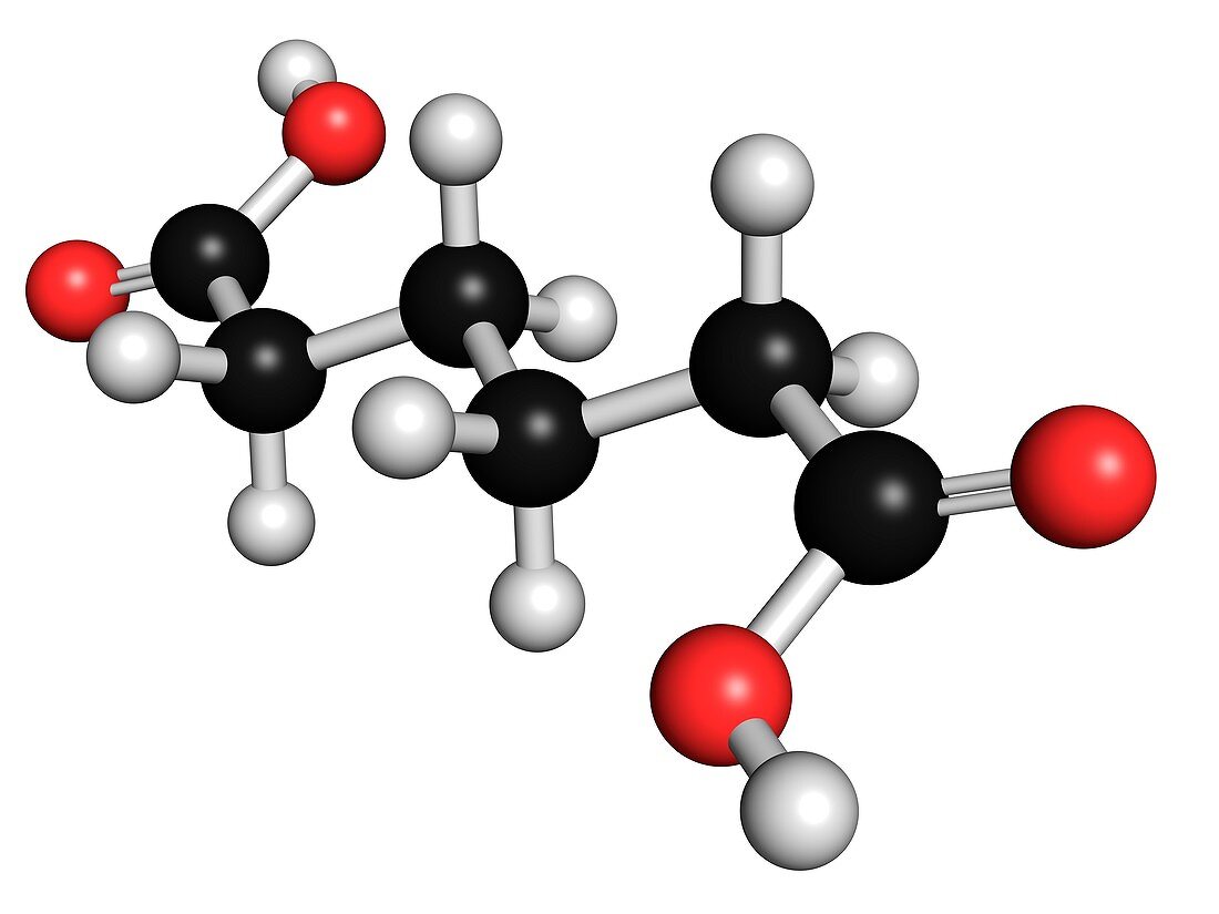 Adipic acid nylon molecule