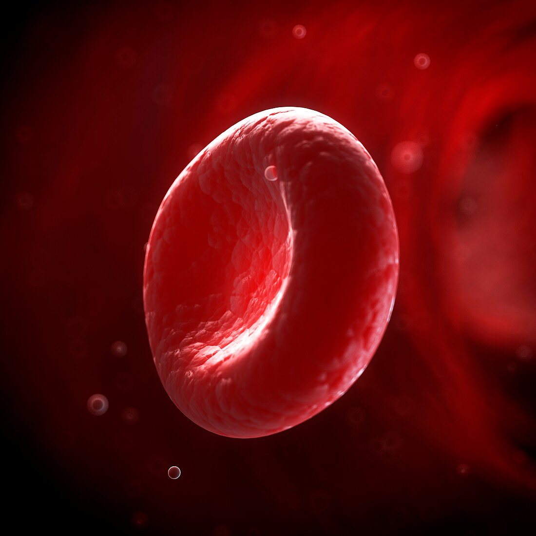 Human red blood cell,illustration