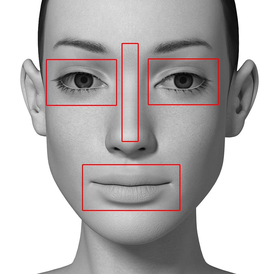Female head with biometric markers
