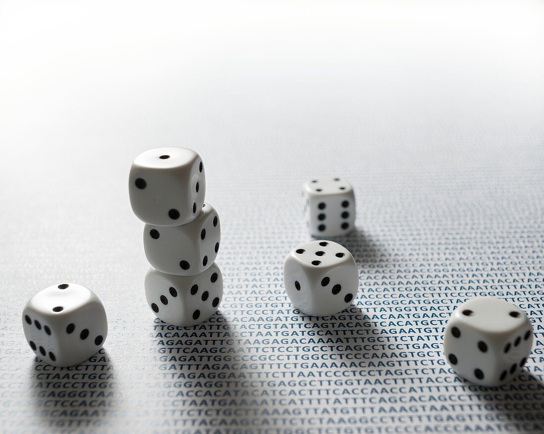 Dice and DNA
