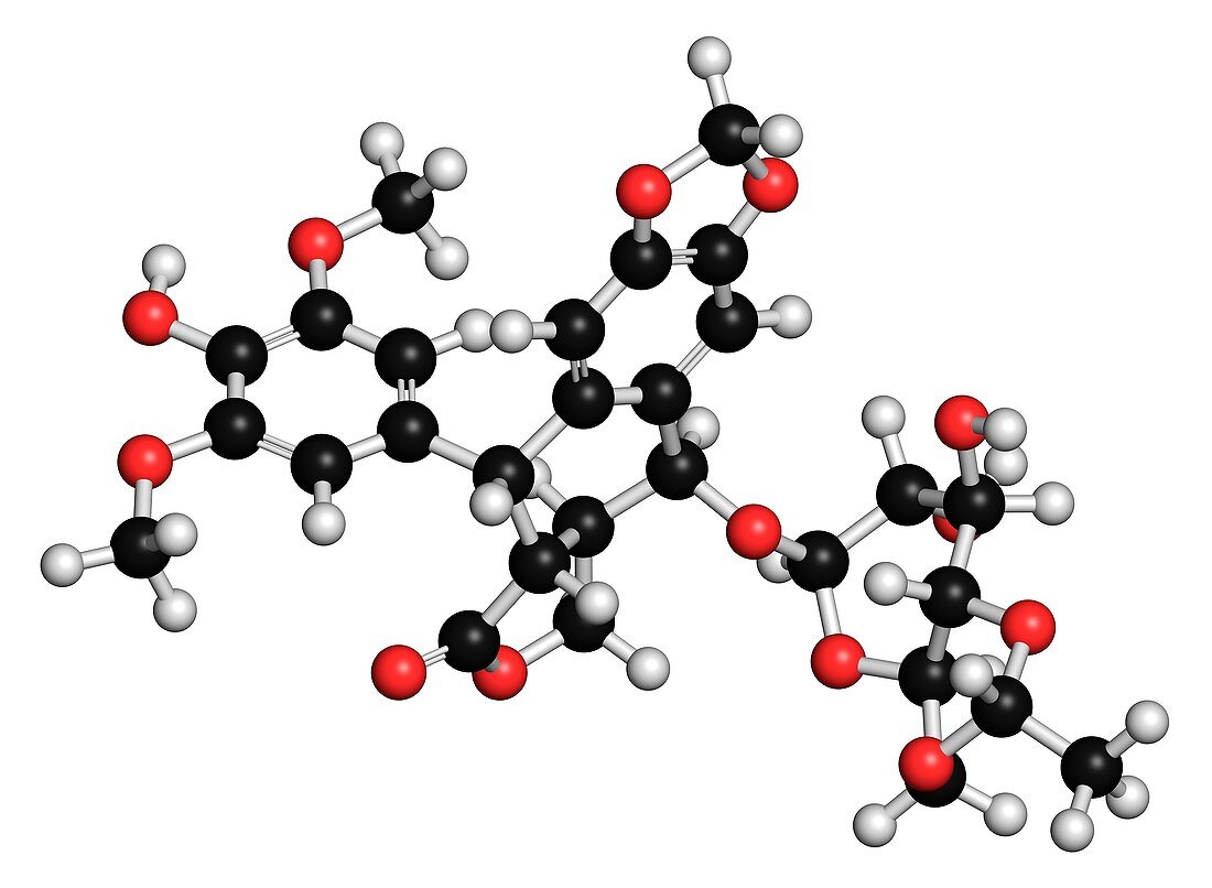 Etoposide cancer drug molecule