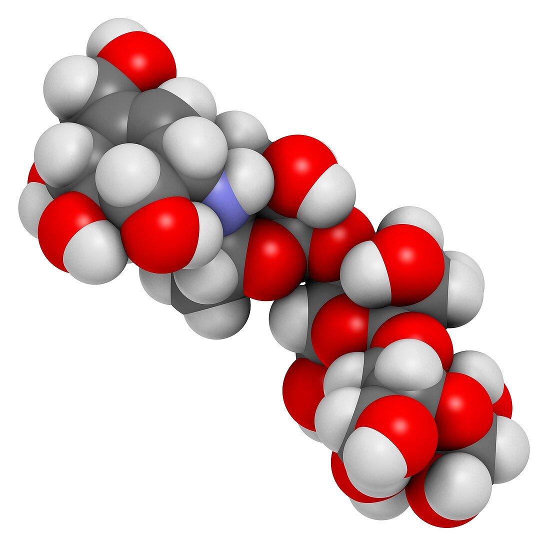 Acarbose diabetes drug molecule