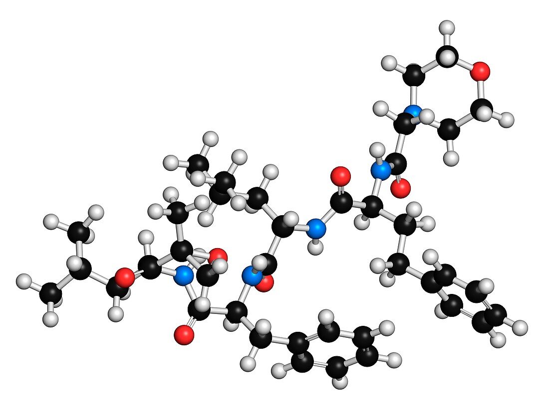 Carfilzomib cancer drug molecule