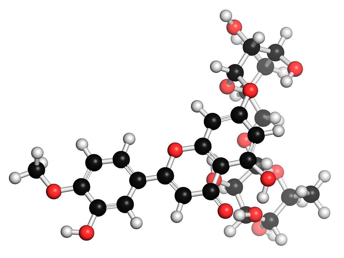Diosmin hemorrhoid drug molecule